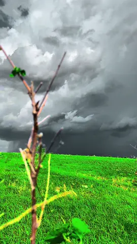 #مشاهير_تيك_توك_مشاهير_العرب #البطانه_جمال_الباديه_والريف 