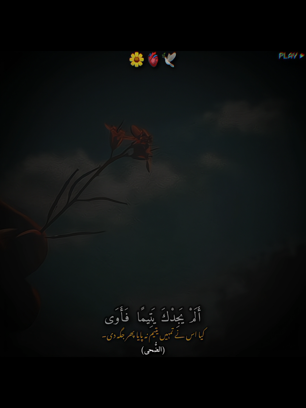 repost request  follow must #❤️ #قرآن_کریم #قرآن #foryoupage❤️❤️ #قرآن_كريم 