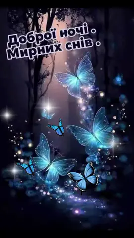 🦋🦋🦋#надобраніч #солодкихснів  #вітання #длявас #врек 