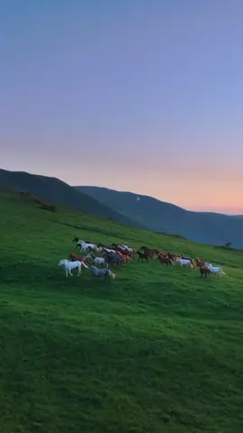 #سبحان_الله_وبحمده_سبحان_الله_العظيم #فاطمة_الحريري 