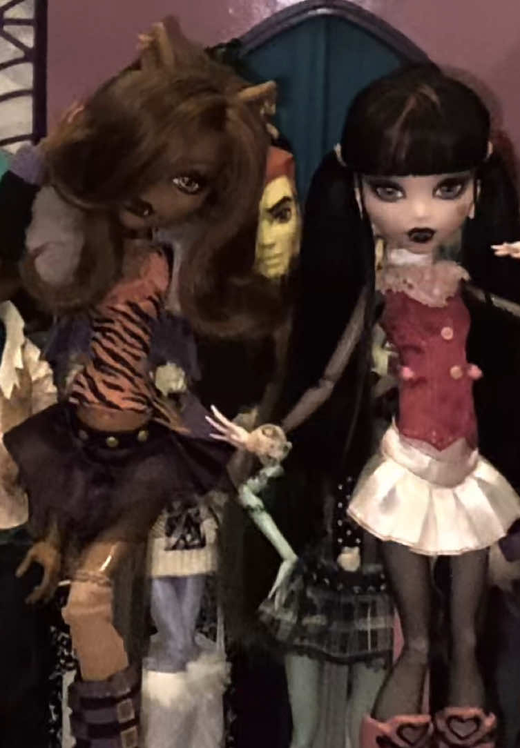 aren‘t they drop dead gorgeous?! #monsterhigh #monsterhighdolls #monsterhighdoll #draculaura #clawdeenwolf  (Tags: Doll Collector, Doll Collectors, Doll Collection, Monster High Collection, Monster High Collector, Wave 1, Basic, G1, Barnacle Boi, dont dwell, Doll, Dolls, Duo, Nostalgia, Nostalgic, Iconic)