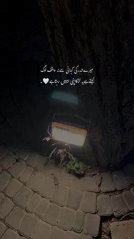 🌸💔_.   | #beee70 #fyp #fypシ #foryou #urdupoetry 