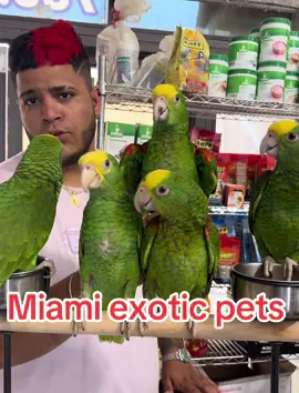 Buenas tardes  . #foryou #trending #foryoupage #tiktok #viral 