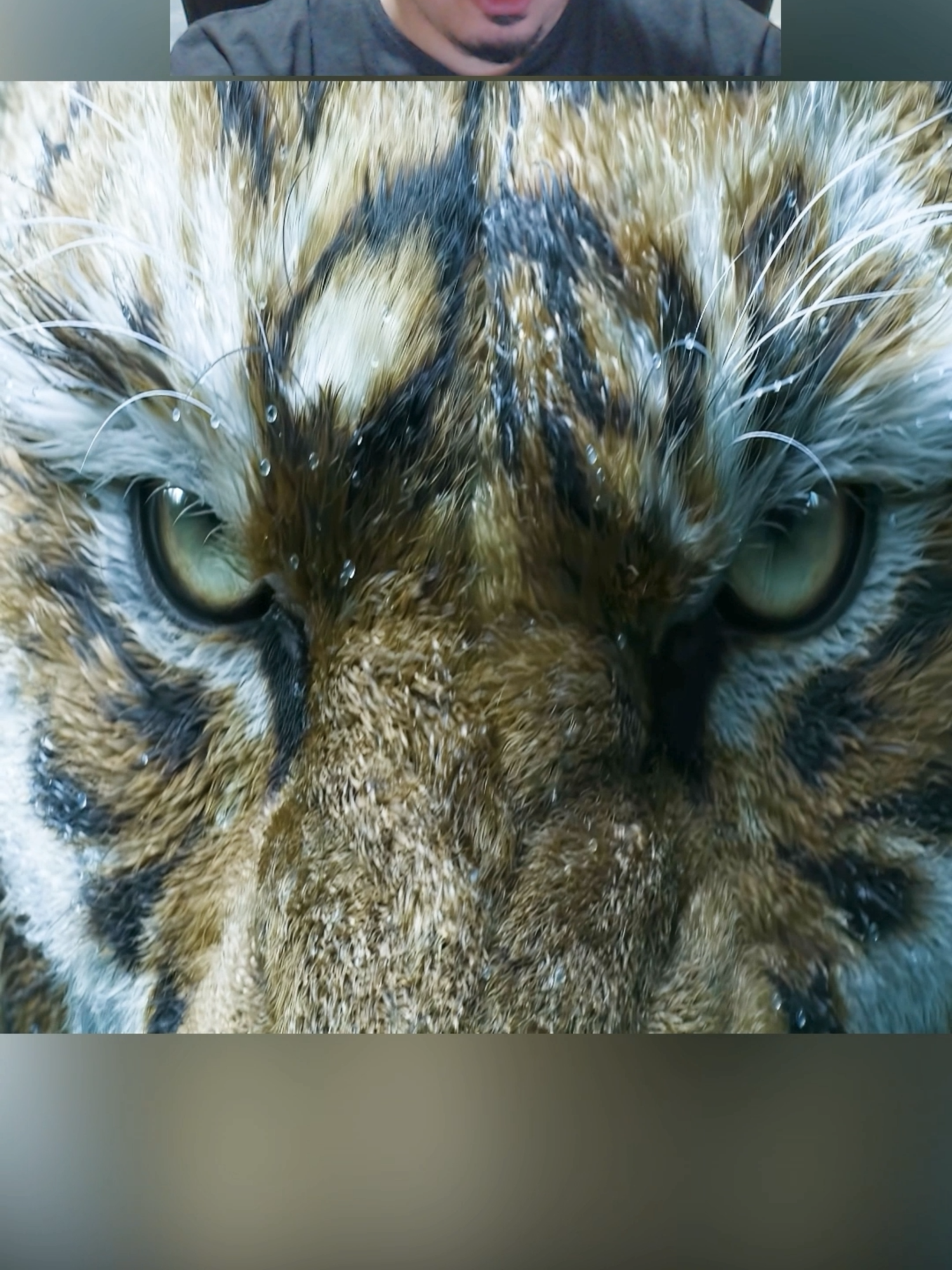 A Lenda de Zhong Kui #fyp #foruyou #reels #viraltiktokvideo #viralvideos #game #blackmythwukong #blackmythzhongkui