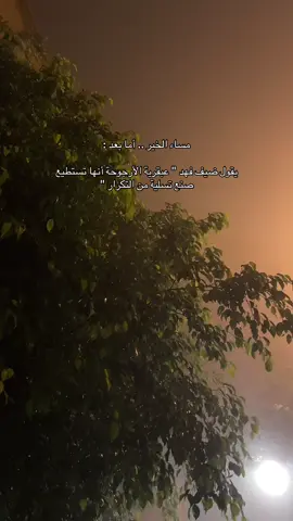 مساءات #august الجميلة #مساء_الروقان #ضباب 