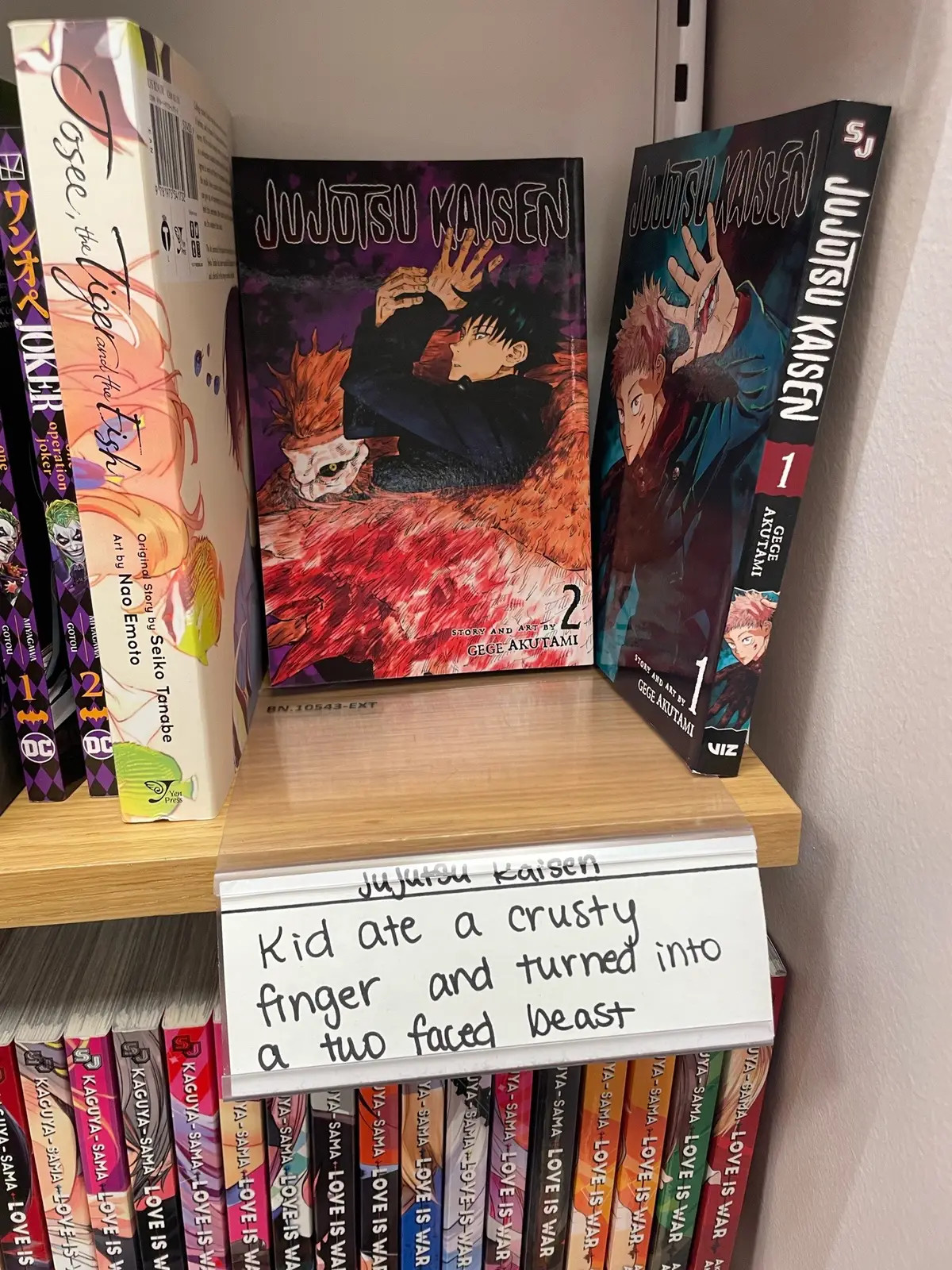 Manga description cards that were just too great to not share #fypシ゚viral #manga #barnesandnoble #jjk 