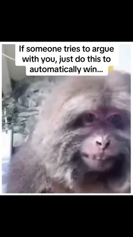 If someone tries to argue with you, just do this to automatically win… #argue #arguements #arguement #disagree #disagreement 