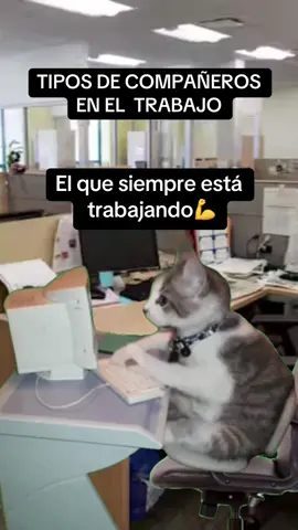 🤣🤣🤣#humor #compañerosdetrabajo #trabajo #fypシ #tiktok 