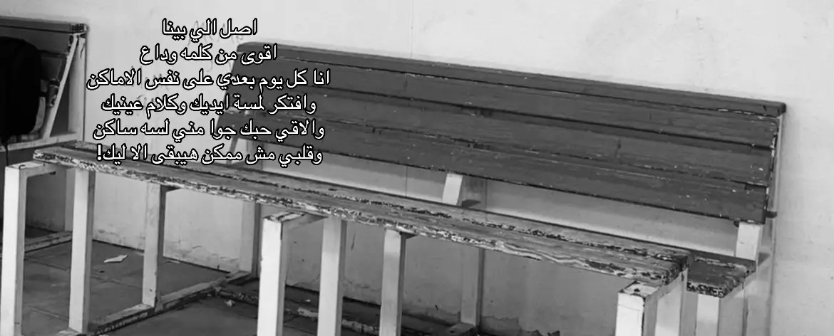 #مالي_خلق_احط_هاشتاقات #like 