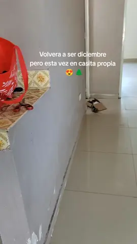 Gracias Dios🏡🤍 #navidad #casitapropia #paratiiiiiiiiiiiiiiiiiiiiiiiiiiiiiii #foryourpage #fypシ゚ #viralvideos #parejas #hogar #familia 