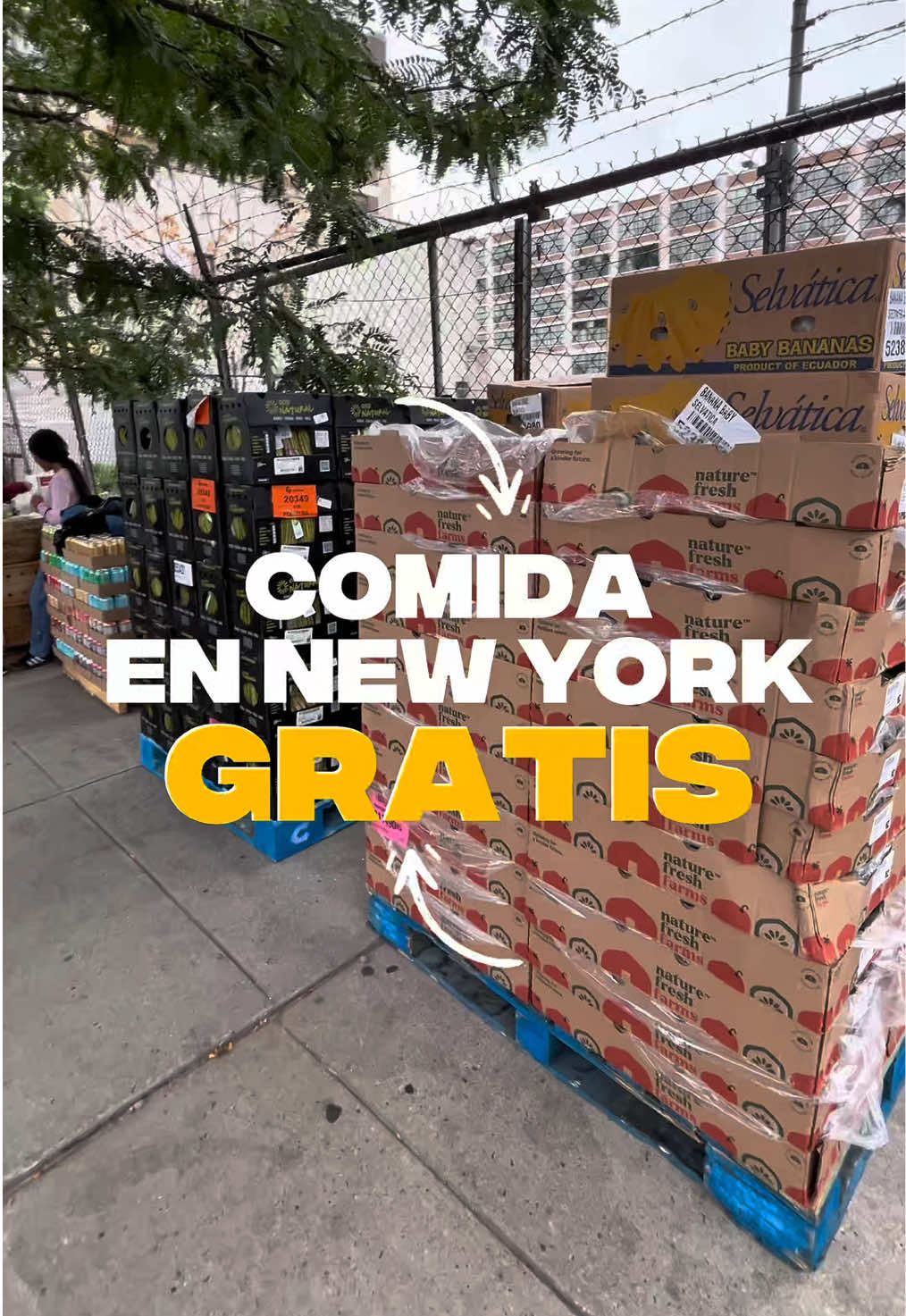 🚨Comida Gratis en New York🚨🍇🥦🥬🍞 #lajornada #parati #migrantes #comidagratis #fyp @LAJORNADA_NYC 