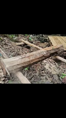 Part 14 60 days building a stone and wooden house in the forest #camping #bushcraft #survival