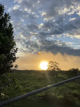 @Vallenatos_del_Recuerdo🪗 