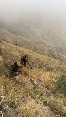 رد العوا سرحان