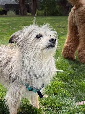 Menos clics, más creación. Elimina distracciones y resalta lo esencial con Lightroom. Prueba gratis.