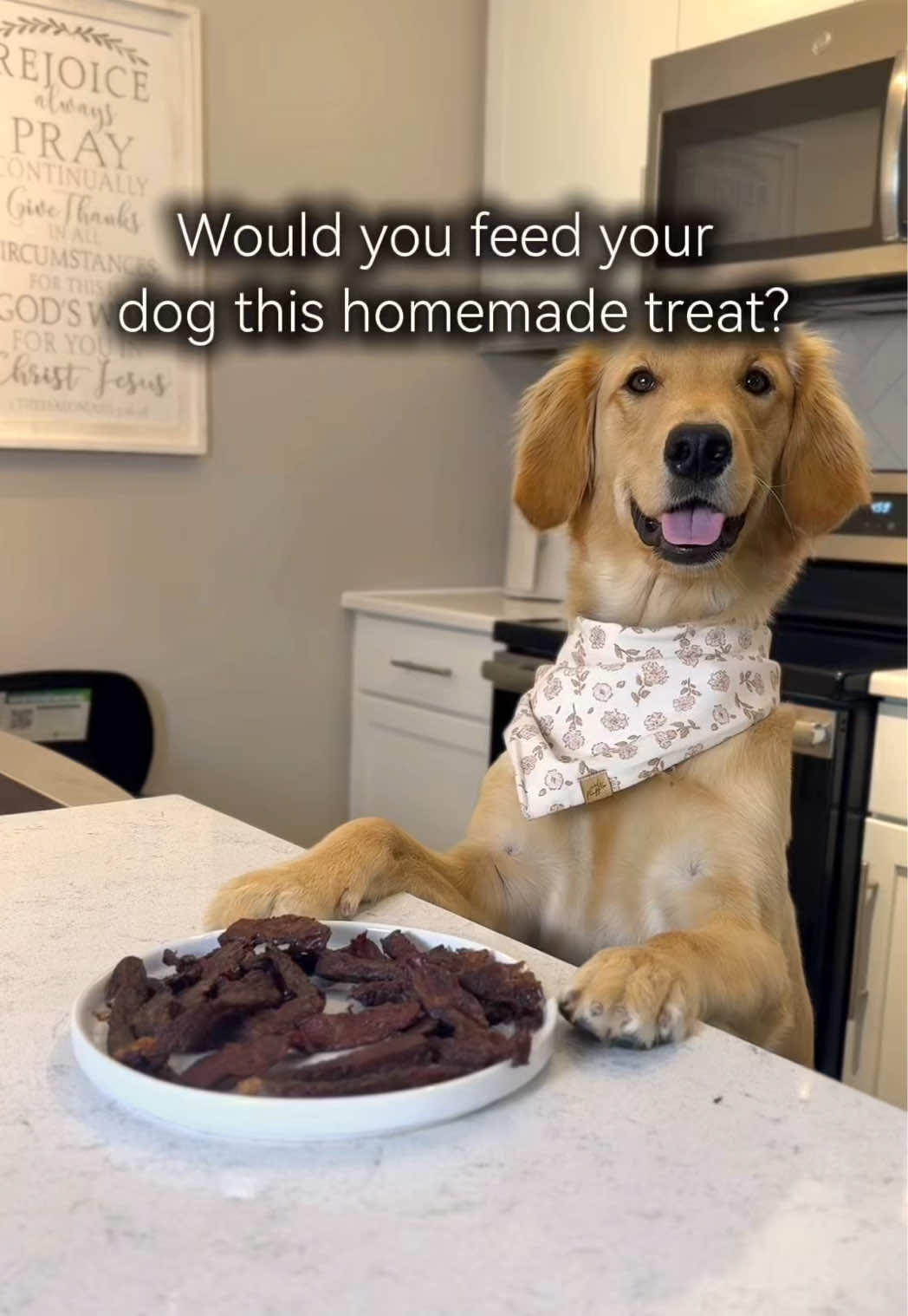 Stop buying overpriced jerky—make it fresh for your pup instead  Here’s how to make homemade steak jerky for dogs: 1️⃣ Start with lean beef (flank, round, or sirloin) and freeze for 30 mins for easier slicing. 2️⃣ Slice thin and spray lightly with coconut oil. 3️⃣ Air fry at 220°F for 45 minutes. ✨ Oven option: Bake at 275°F for 2 hours, until fully dehydrated. Storage: keep in an airtight container for up to 2 weeks on the counter (cool area) or up to 2 months in the fridge. Your dog will go CRAZY for this one!! Would you try this for your pup? #homemadedogtreats #dogtreatrecipe  #healthydogtreats #dogtreatideas  