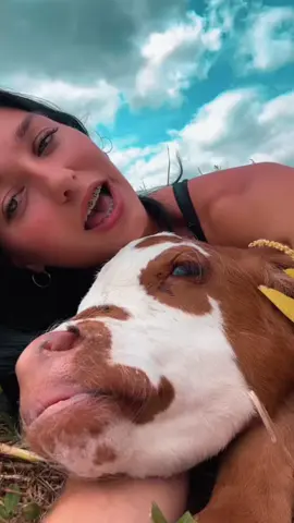 goneee with the wind #fyp #viral #calf #foryou #cute 