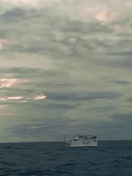 joni lebay romi and the jahats#punkrock 