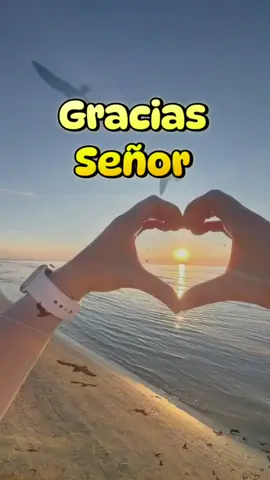 Gracias señor 