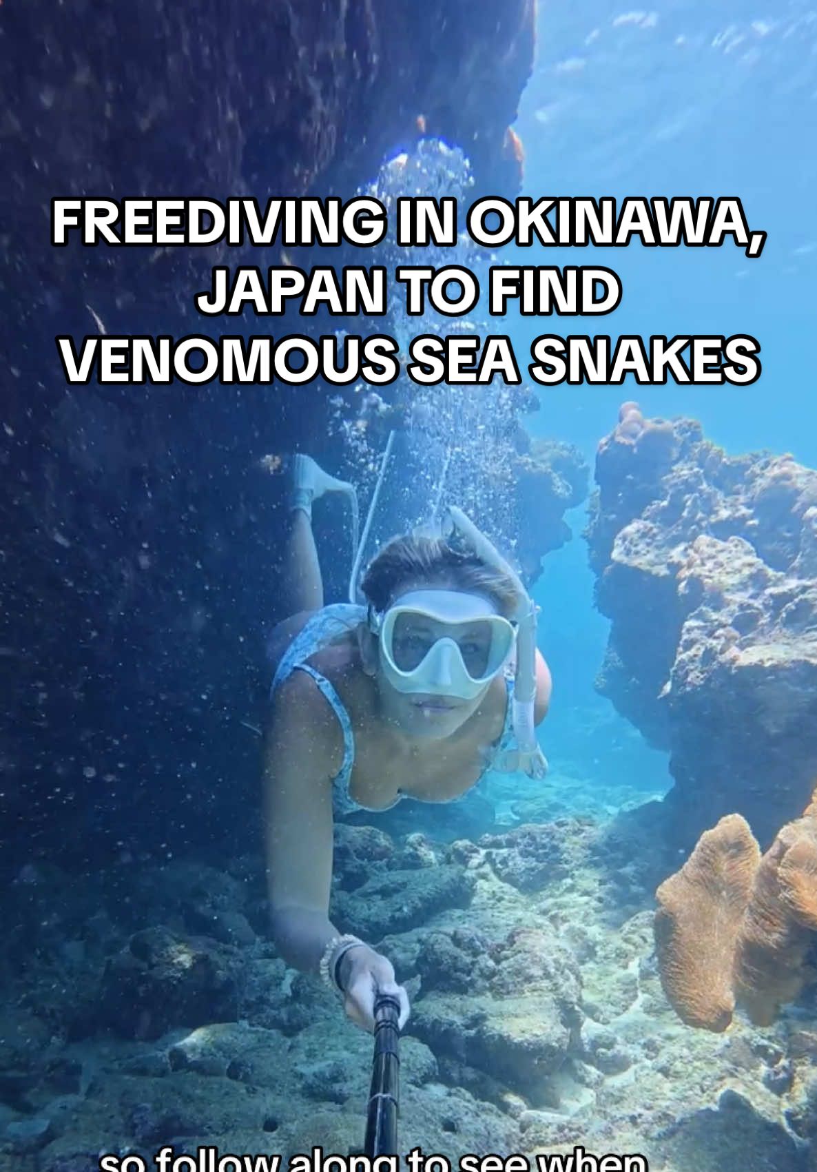 Sea snakes are not the only thing you have to watch out for in the oceans of Japan…😳 #japan #okinawa #freediving #diving #oceanadventure 