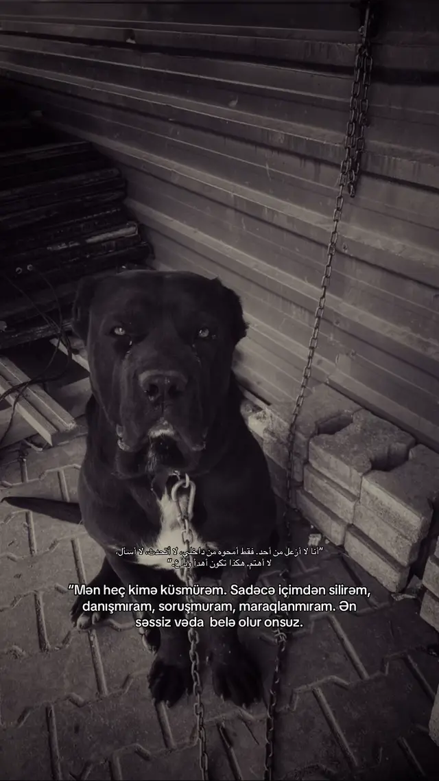 #kesfet #fypage #fyppppppppppppppppppppppp