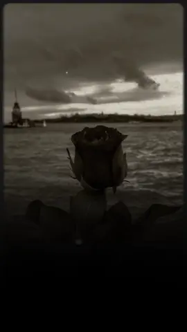 #CapCut #لحمدلله_على_كل_حال❤ 