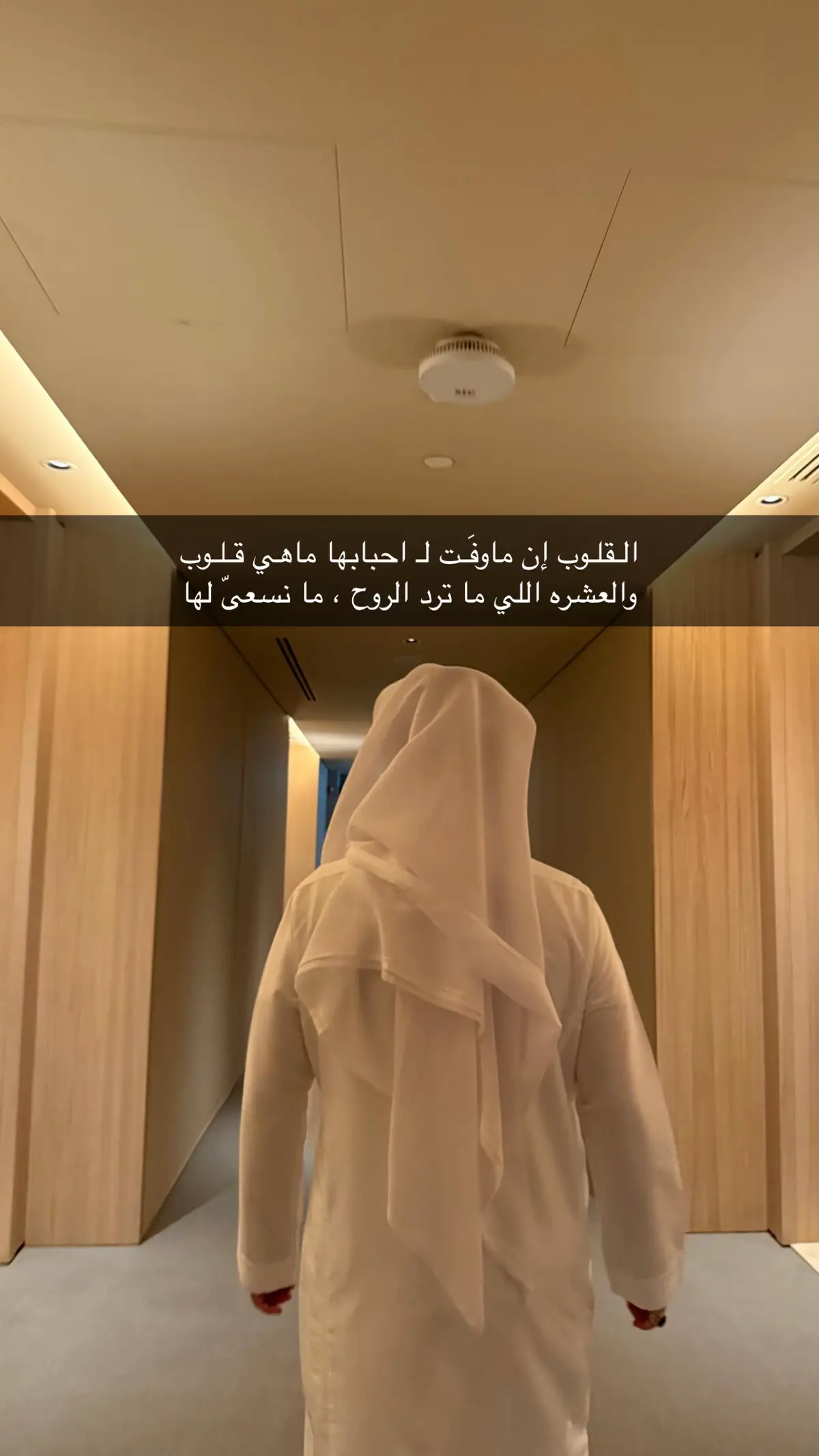 #اكسبلور 