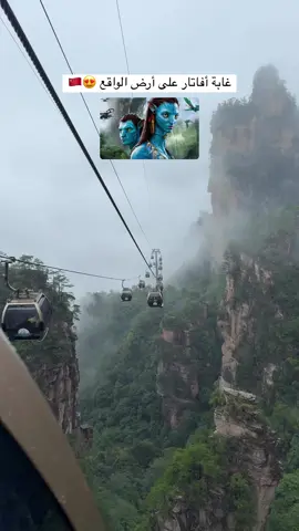 تشانغجياجيه في الصين تبعد عن شنغهاي ساعتين ✈️ @Safarfy | سفر فاي  اعلان