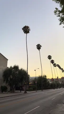 #losangeles #california #america #travel #usa 
