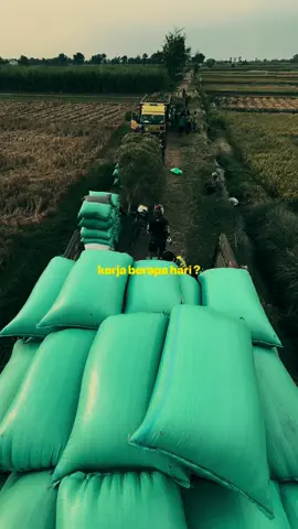 🫀🫁 #petani #Gabahbalap #BakulGabah #MutiaraPadi #Kediri #fyp #jagung #padi #bakul #bakulgabah🌾 #petanimuda #🌾🌾🌾🌾🌾🌾🌾 #bakulgabahmuda #gabahbalap🌾 #jagungbalap #bakulgabah 