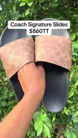 Available for pre order !  Order with me 💛  Get it by the 29th of July  #trinidad #coach #caribbeantiktok #sale #trini_tiktoks 