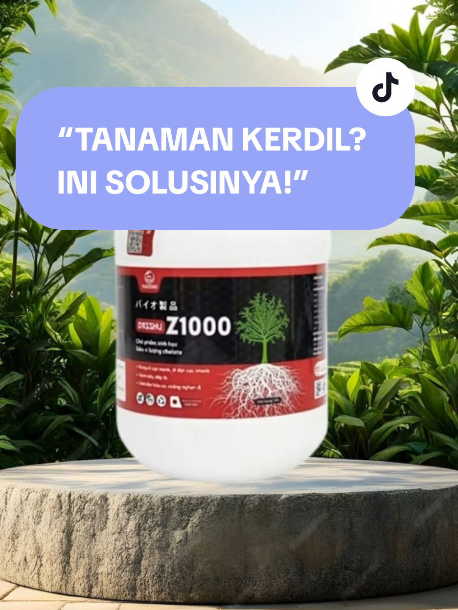 Tanaman kerdil, buah jarang tumbuh? 🌱 Saatnya coba Dasshu Z1000, pupuk perangsang akar, tunas, dan buah super! 🔥 Lagi ada promo Beli 1 Gratis 1 lho! 👉 Klik keranjang sekarang sebelum kehabisan! #dasshuz1000 #pupukpremium  #pupukdashuz1000 #pupukorganik #pupukpenyuburtanaman