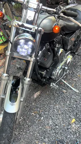 This mf mean #sportster #harley #black #chrome #100th 