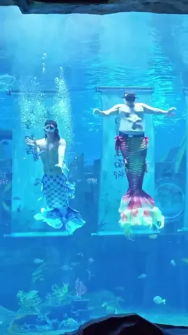 I love his energy 😁 #unique #swimming #show #mermaid #funny (via danng.811/IG)