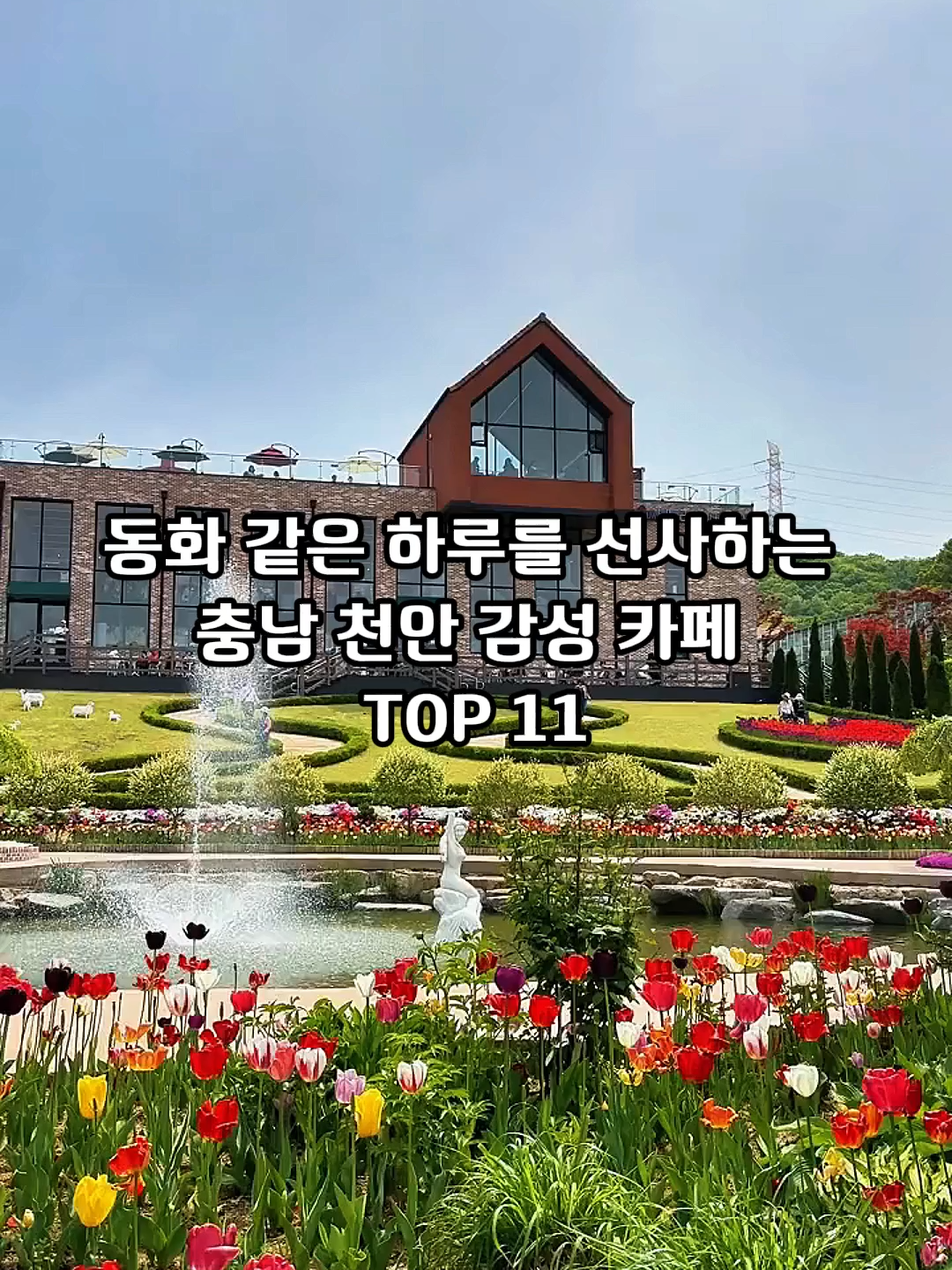 동화 같은 하루를 선사하는 충남 천안 감성 카페 TOP 11#소식 #top