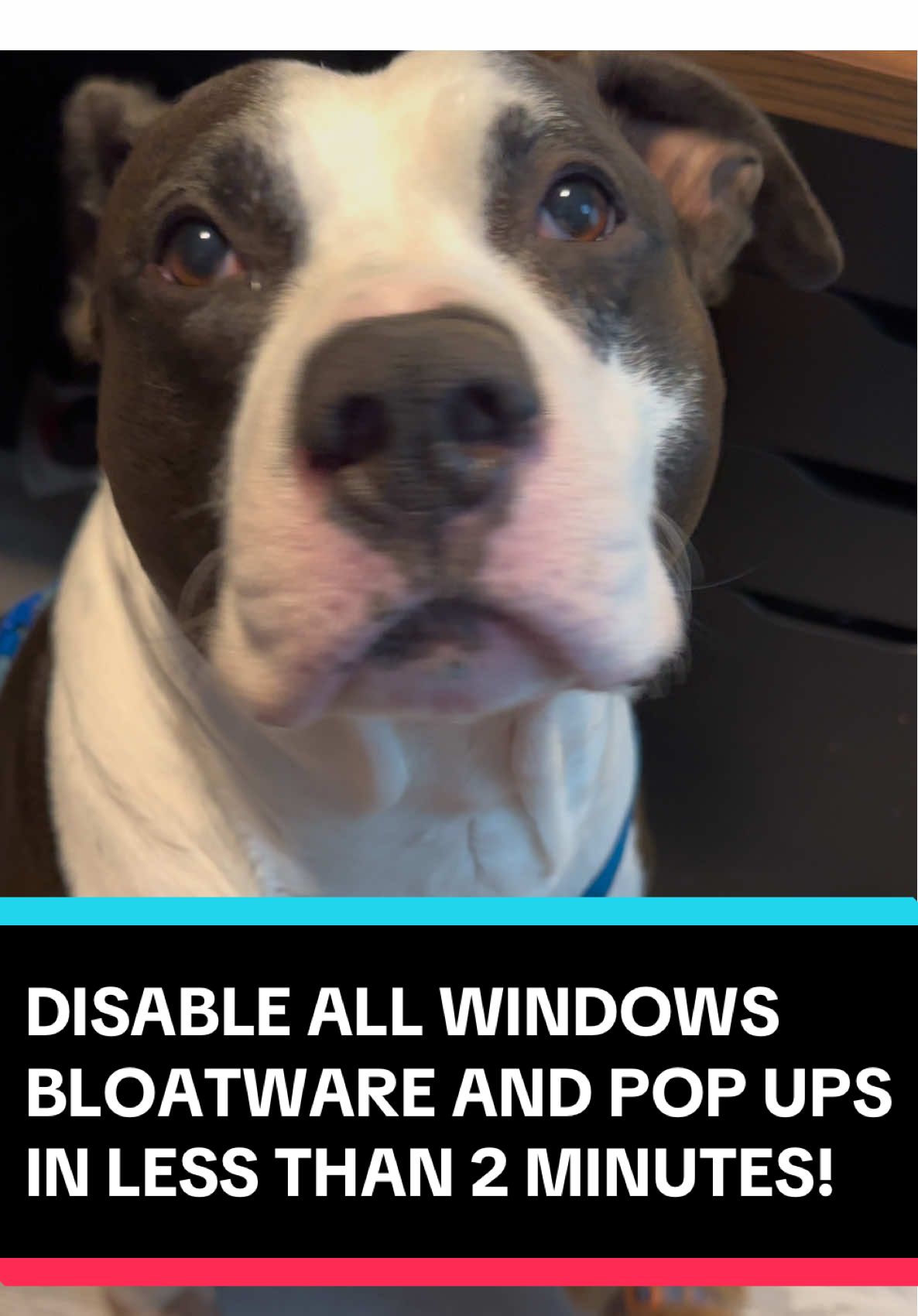 DISABLE ALL WINDOWS BLOATWARE AND POP UPS IN LESS THAN 2 MINUTES! #pctips #windows11 #techtoktips #pcgaming #techtips 