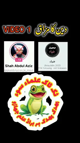 #munafiqalim #shahabdulaziz #pakistani_tik_tok #viraltiktok #viral 