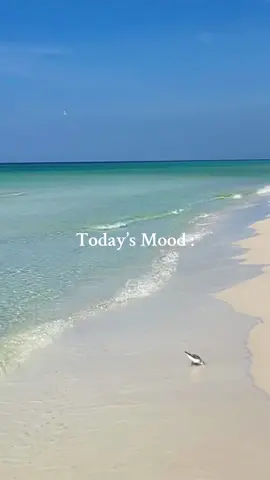 Feeling a bit Salty today : 🧂🌊