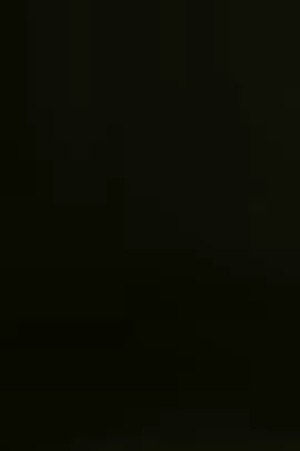 Obrigado por tudo Akira Toriyama que descanse em paz.❤️‍🩹#paidosanimes👑 