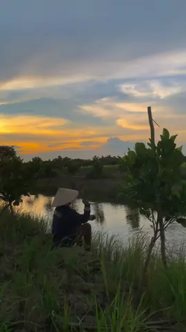 Chiều hoàng hôn ‘😊#canhque #canhqueyenbinh #viral #xh 