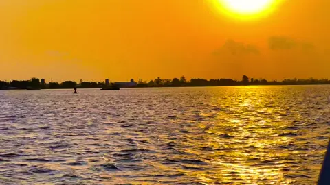 Miền Tây sông nước hữu tình #music #chill #nhacnaychillphet #xuhuong #binhyen 
