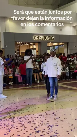 @festivalatratoexotico 