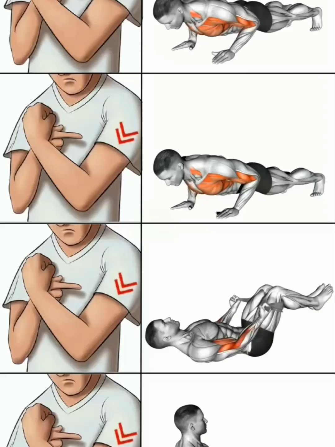 Home Biceps Workout Without Equipment #GymTok #muscle #exercise #Fitness #workout #workoutroutine #workouttips #fit #fitnesstips #Biceps #Bicepsworkout