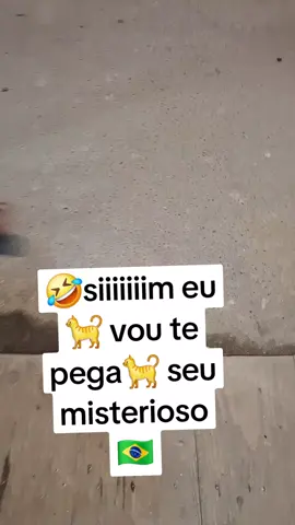 #misterioso  #bob  #deus_no_controle 