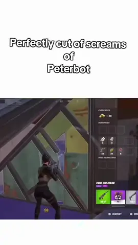 Perfectly cut of peterbot #humor #fortnite #peterbot #fyp #FNCS 