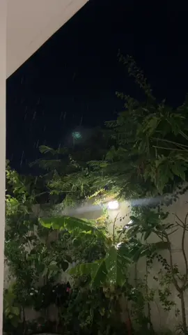 مطر الليل 🌧️🌧️ #مطر #Home #اكسبلور #taif 