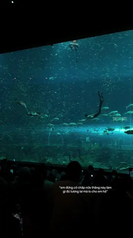 #GreenCreator #VinWonders #WonderSummer2025 #dulich