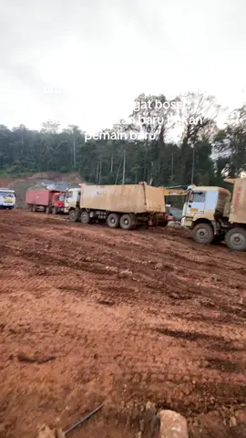 copykah si paling orang lama🥴 #scm #siteroutakonawe #kulitambang #operatormuda #storytambang #fyp 