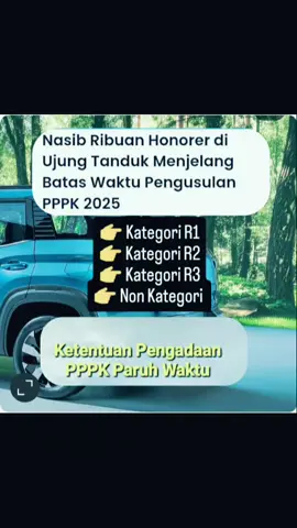 PPPK Paruh Waktu Ambang Pintu Menuju PPPK Full Time diseluruh Daerah/Kota yang bekerja di instansi Pemerintah