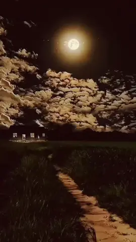 والله ما قطعنا رحم يوما🖤🖤
